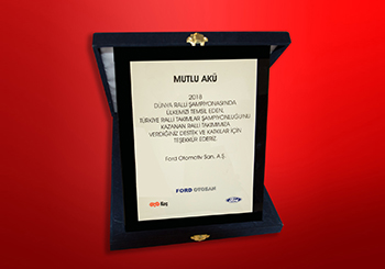 2019: Castrol Ford Rally Team Appreciation Plaque